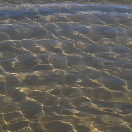 ホテル Embassy ペザロ